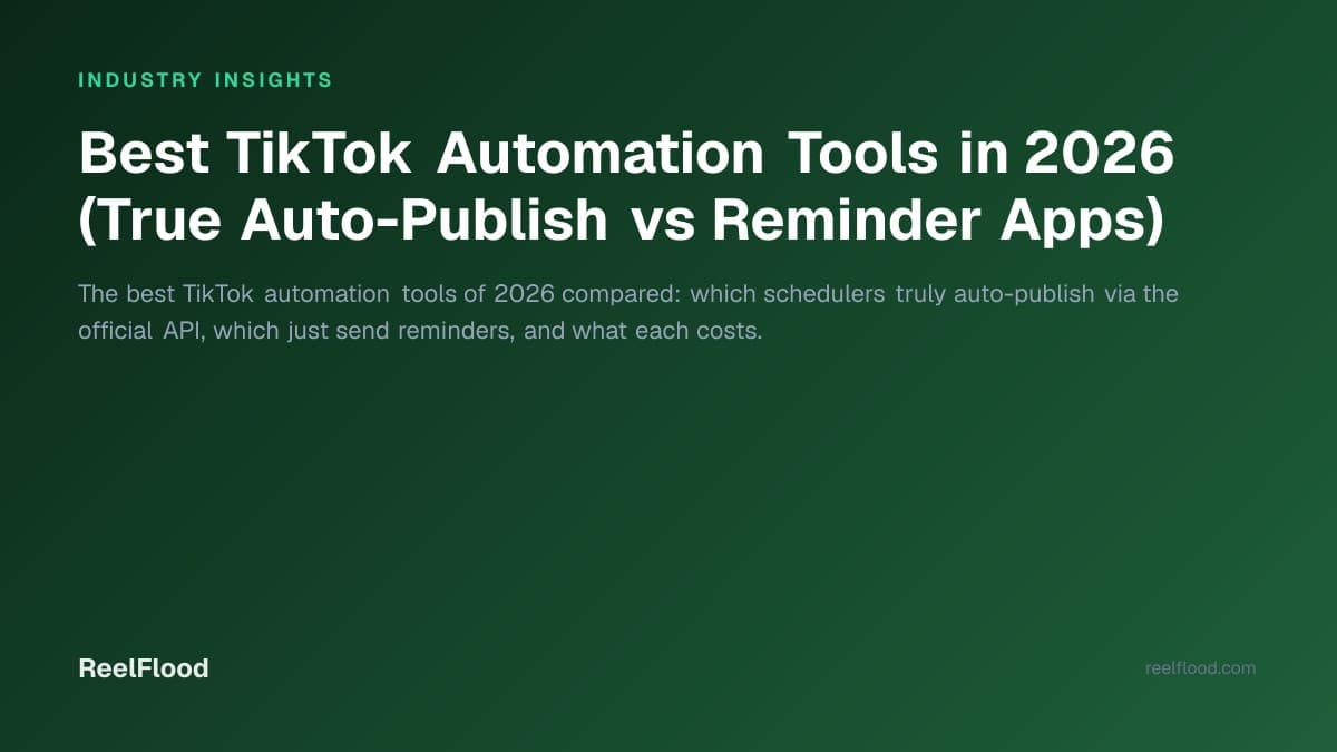 Founder comparing TikTok automation and scheduling tools on a laptop dashboard